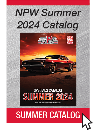 Summer Catalog